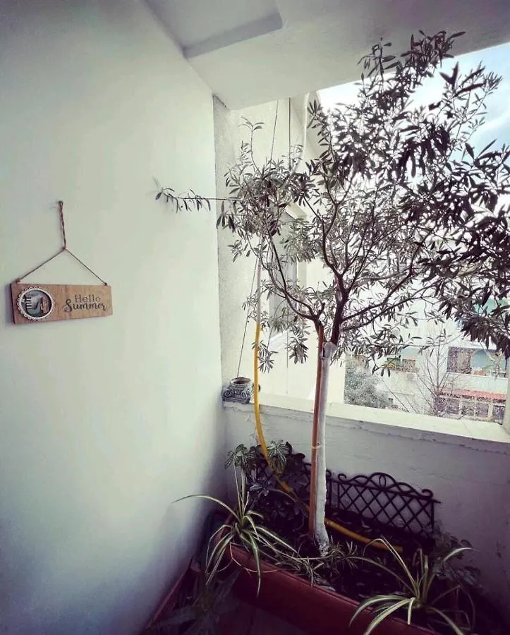 Cozy & Stylish Apartment Tirana Albania